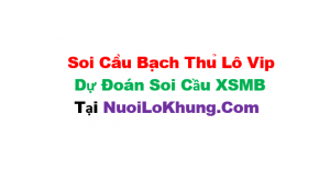 Soi cầu bạch thủ