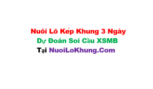 Nuôi lô kép khung 3 ngày