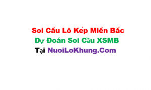 Soi cầu lô kép