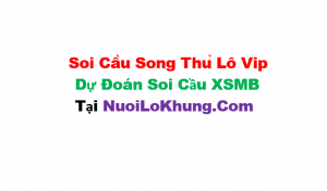 Soi cầu song thủ lô