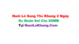 Nuôi lô song thủ khung 2 ngày