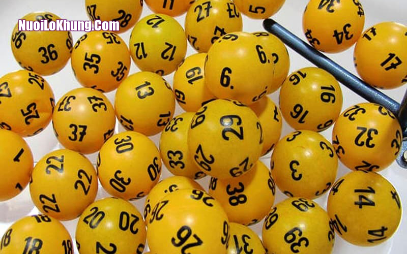 Rồng Bạch Kim cung cấp kết quả xổ số nhanh chóng và chính xác