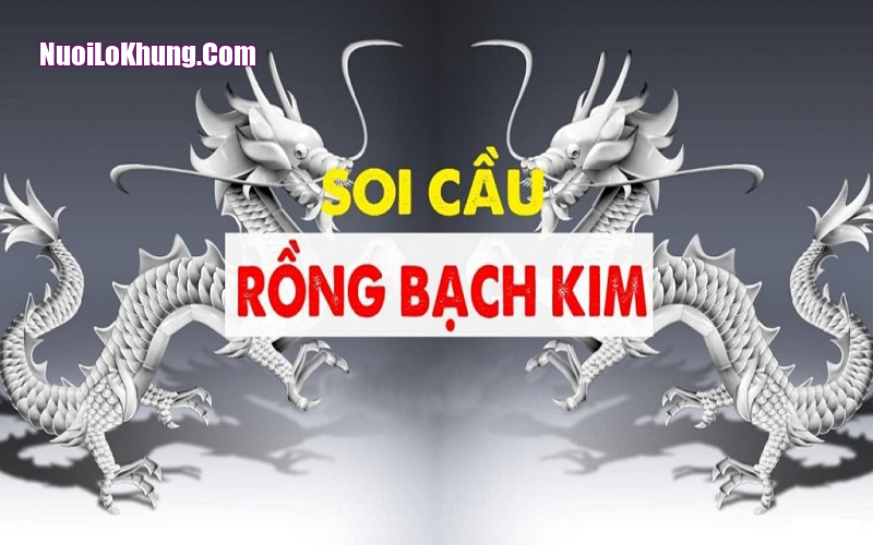 Mẹo tận dụng Rồng Bạch Kim không phải ai cũng biết