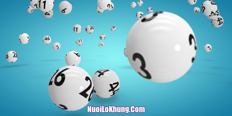 Học hỏi kinh nghiệm lô đề ở đâu?