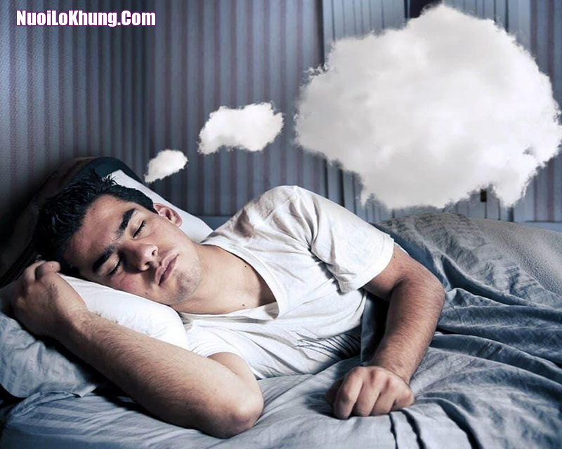 Soi cầu giải mã giấc mơ kết hợp với ngày tháng