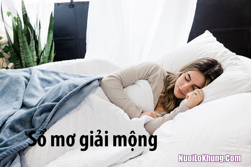 Tìm số chuẩn để chơi