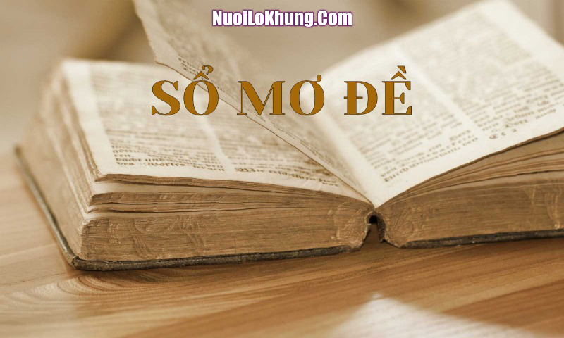 Sổ mơ lô đề là gì?