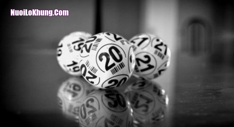 Lập kế hoạch triển khai nuôi lô kép 