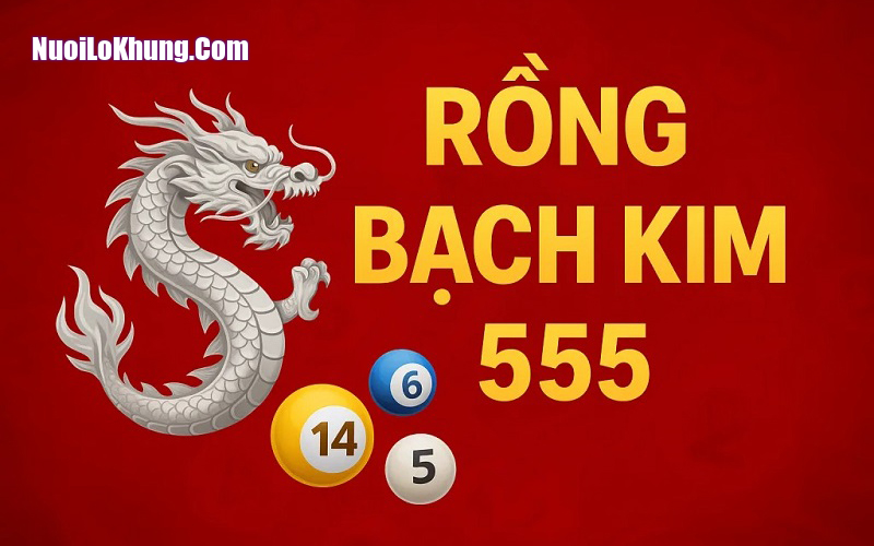 Rồng Bạch Kim 555 là một nền tảng soi cầu lô đề uy tín nhất tại Việt Nam