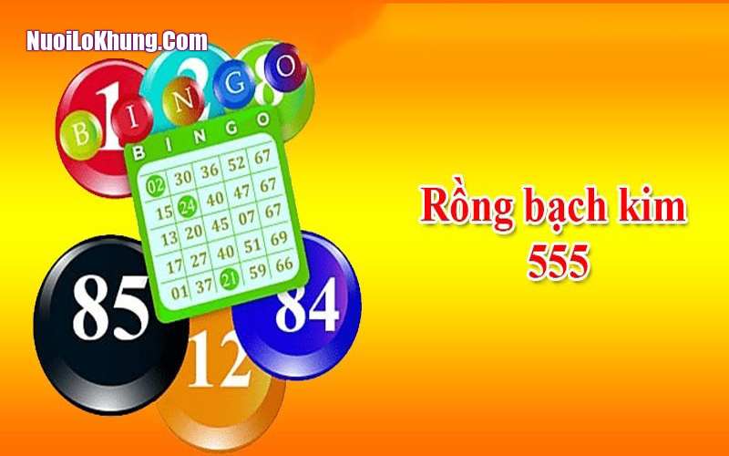 Cộng đồng soi cầu RBK 555 thường xuyên trao đổi kinh nghiệm thực chiến