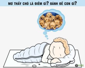 Chiêm bao thấy con chó đánh con gì