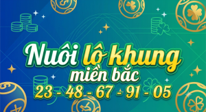 Nuôi lô khung miền bắc