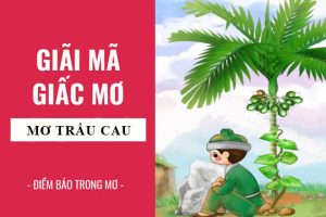Mơ thấy cây cau đánh con gì